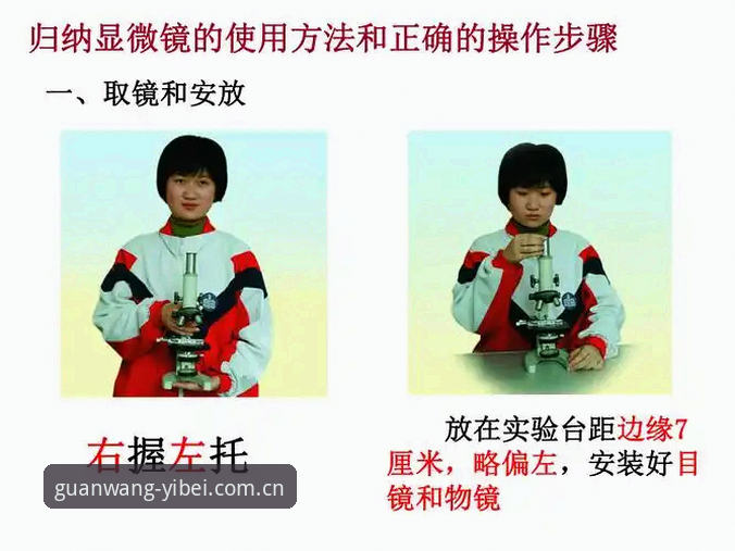 深度揭秘：易倍2024新功能安装教程背后的高效操作指南